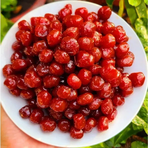 Taiwan Plum- Chùm Ruột Chua Ngọt - (0.5 lb 226g) | Dakoli