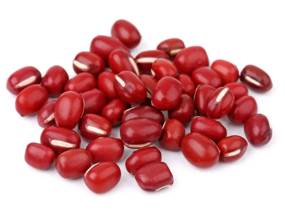 Pinsot Dried Small Red Beans - 5 Lb (2.2 kg)