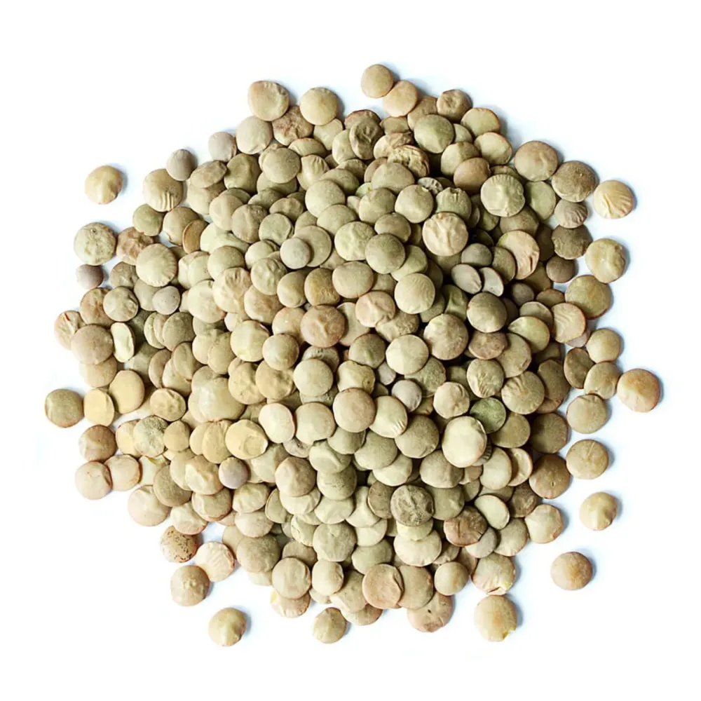 Pinsot Organic Dried Green Lentils - 5 Lb (2.2 kg)